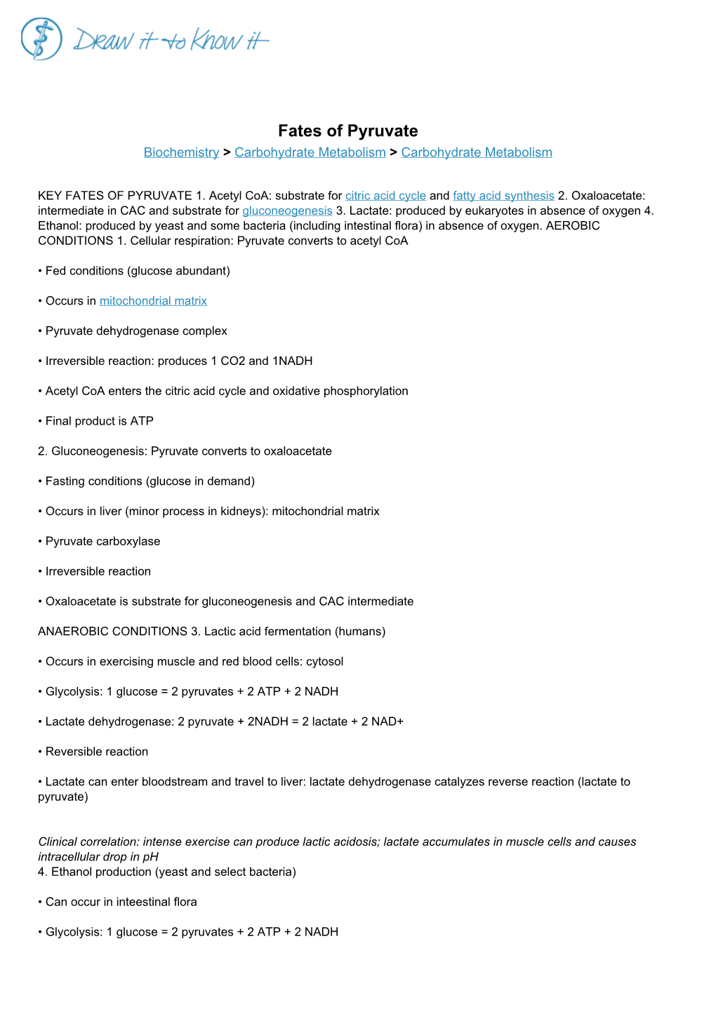 Fates of Pyruvate Biochemistry > Carbohydrate Metabolism > Carbohydrate Metabolism