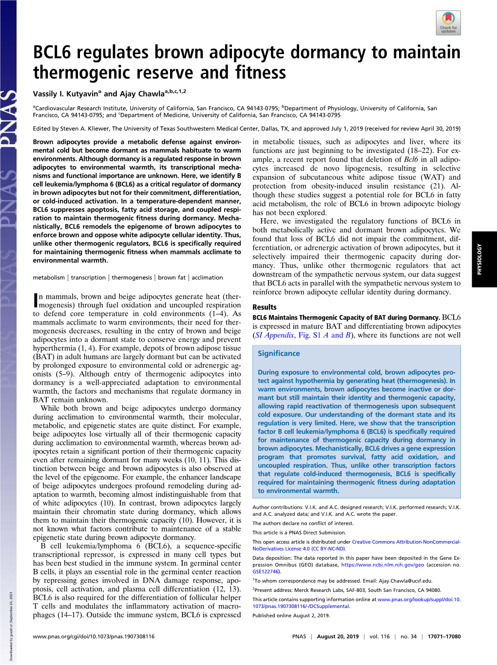 BCL6 Regulates Brown Adipocyte Dormancy to Maintain Thermogenic Reserve and Fitness