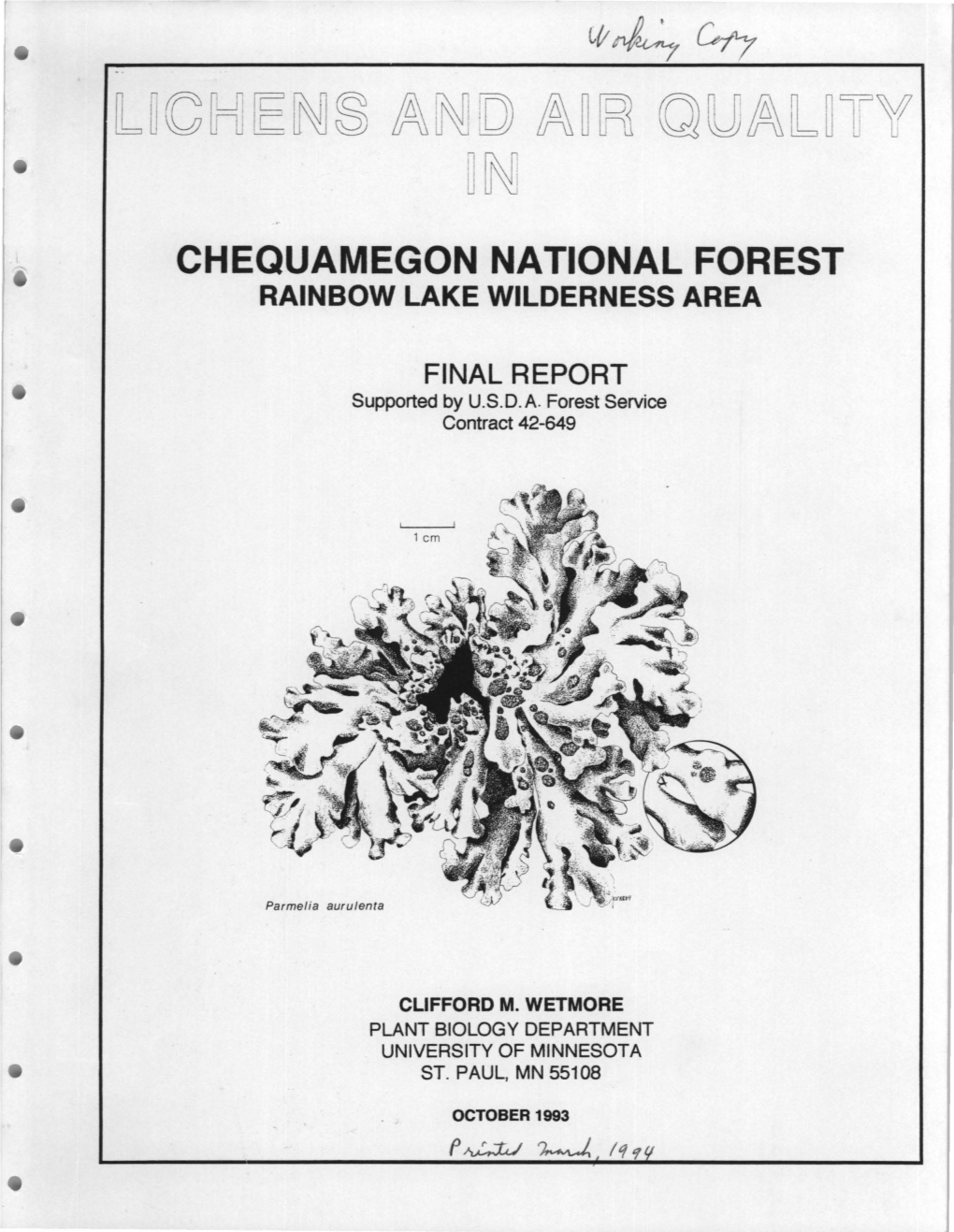 Chequamegon National Forest Rainbow Lake Wilderness Area