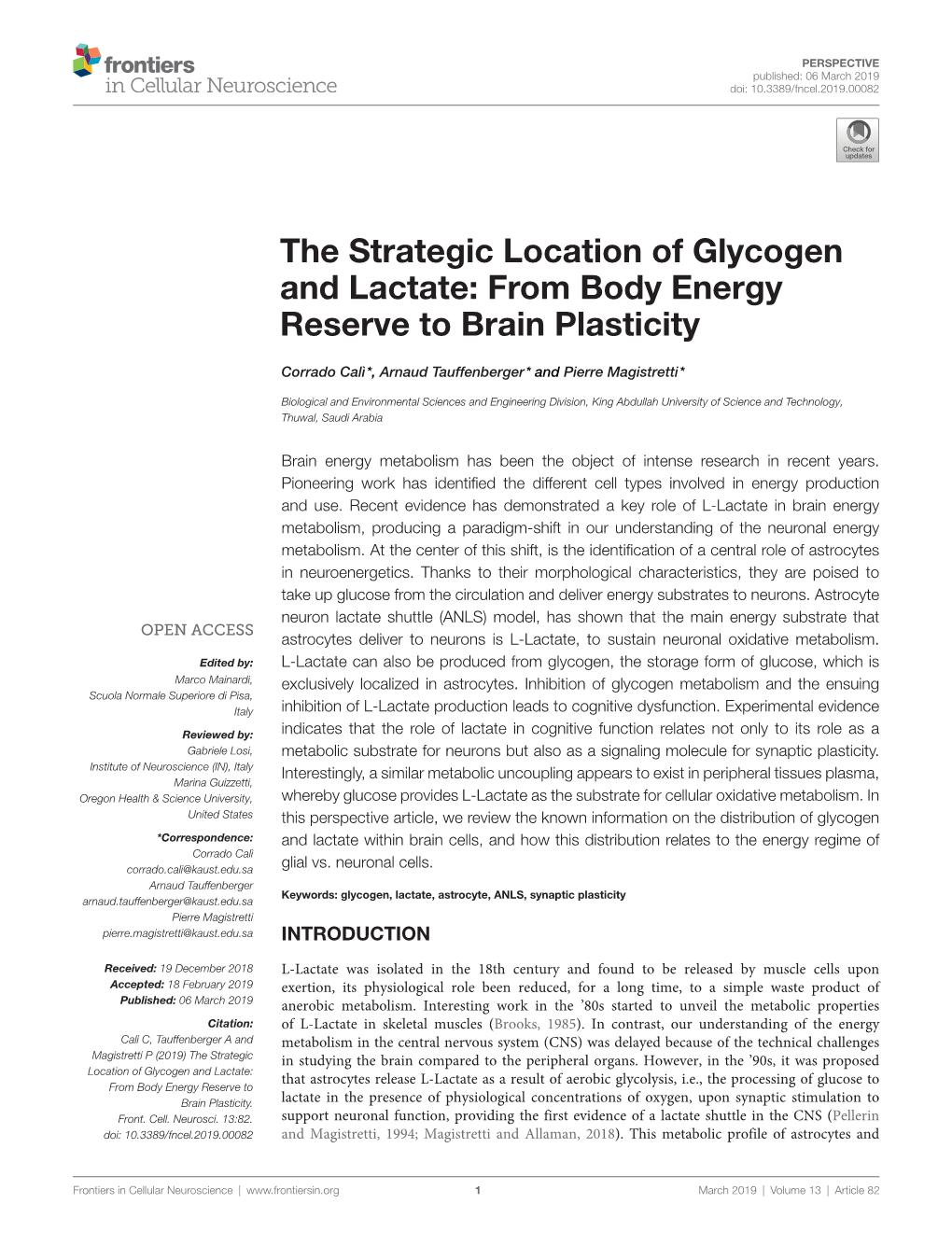 The Strategic Location of Glycogen and Lactate: from Body Energy Reserve to Brain Plasticity