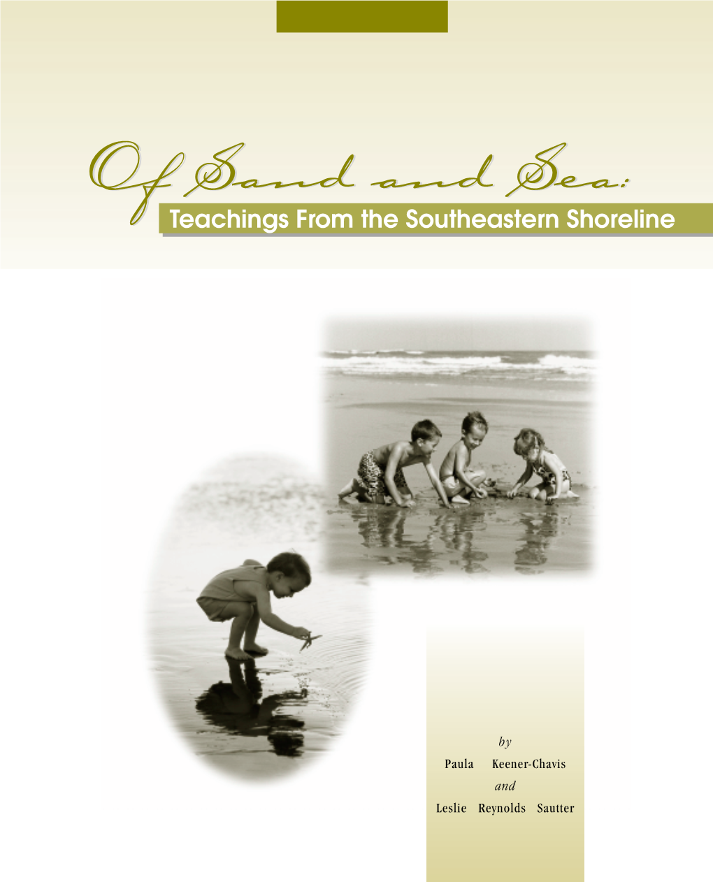 Sand and Sea – Teachings from the Southeastern Shoreline