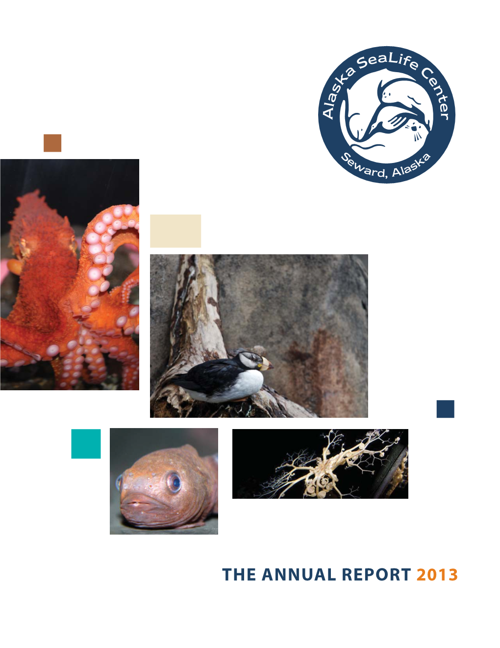 The Annual Report 2013 Letter from the President and Ceo