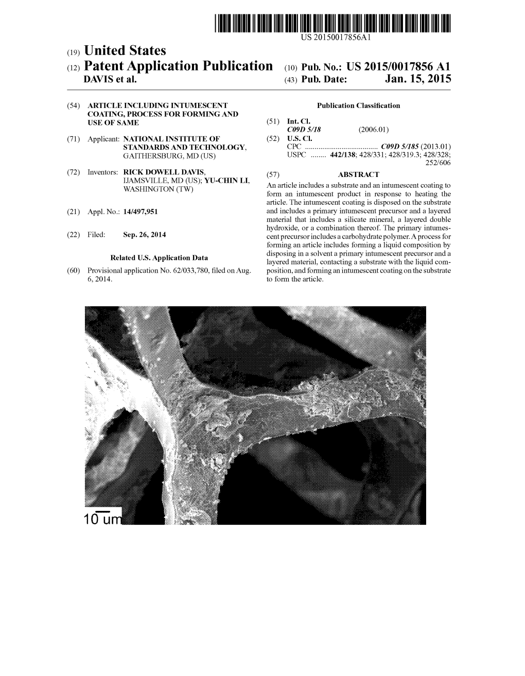 (12) Patent Application Publication (10) Pub. No.: US 2015/0017856A1 DAVIS Et Al