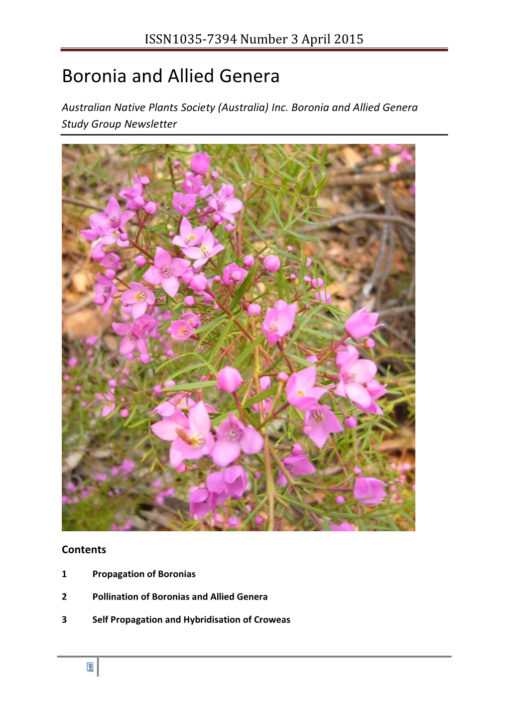 Boronia and Allied Genera