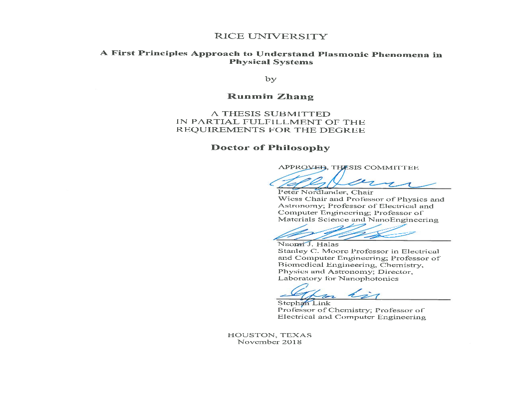 A First Principles Approach to Understand Plasmonic Phenomena