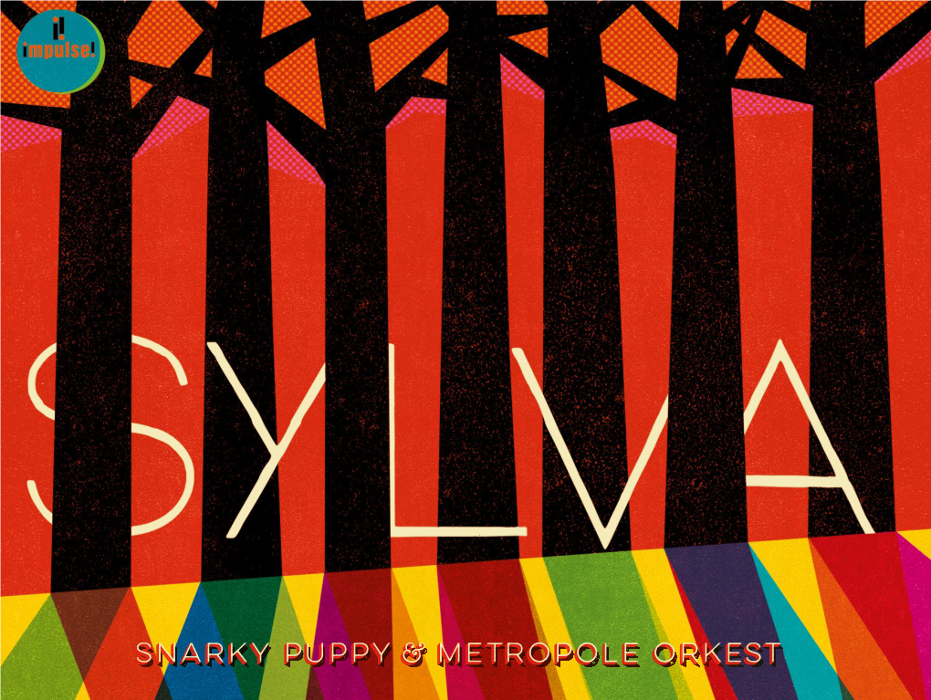 Snarky Puppy Metropole Orkest