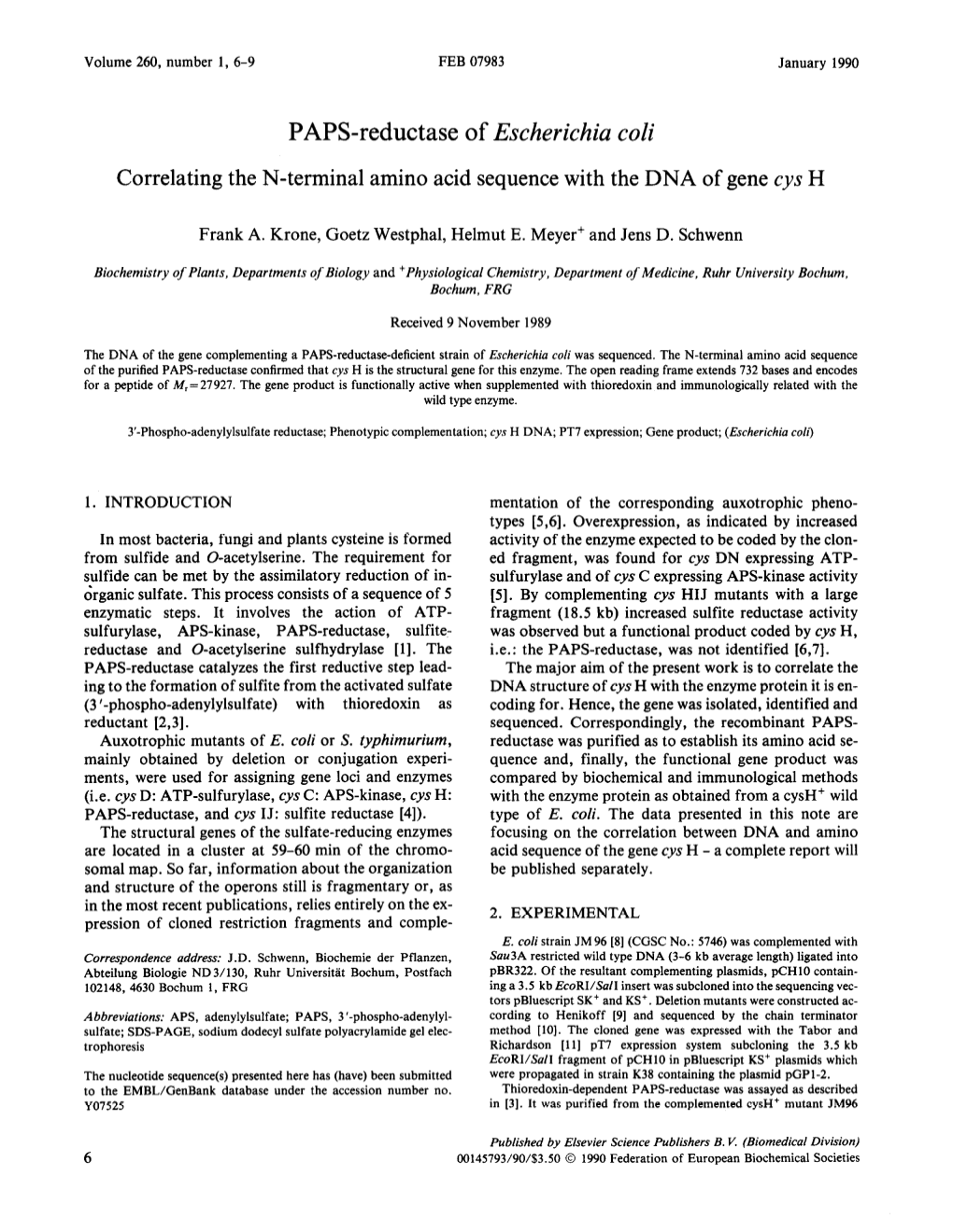 PAPS-Reductase of Escherichia Coli