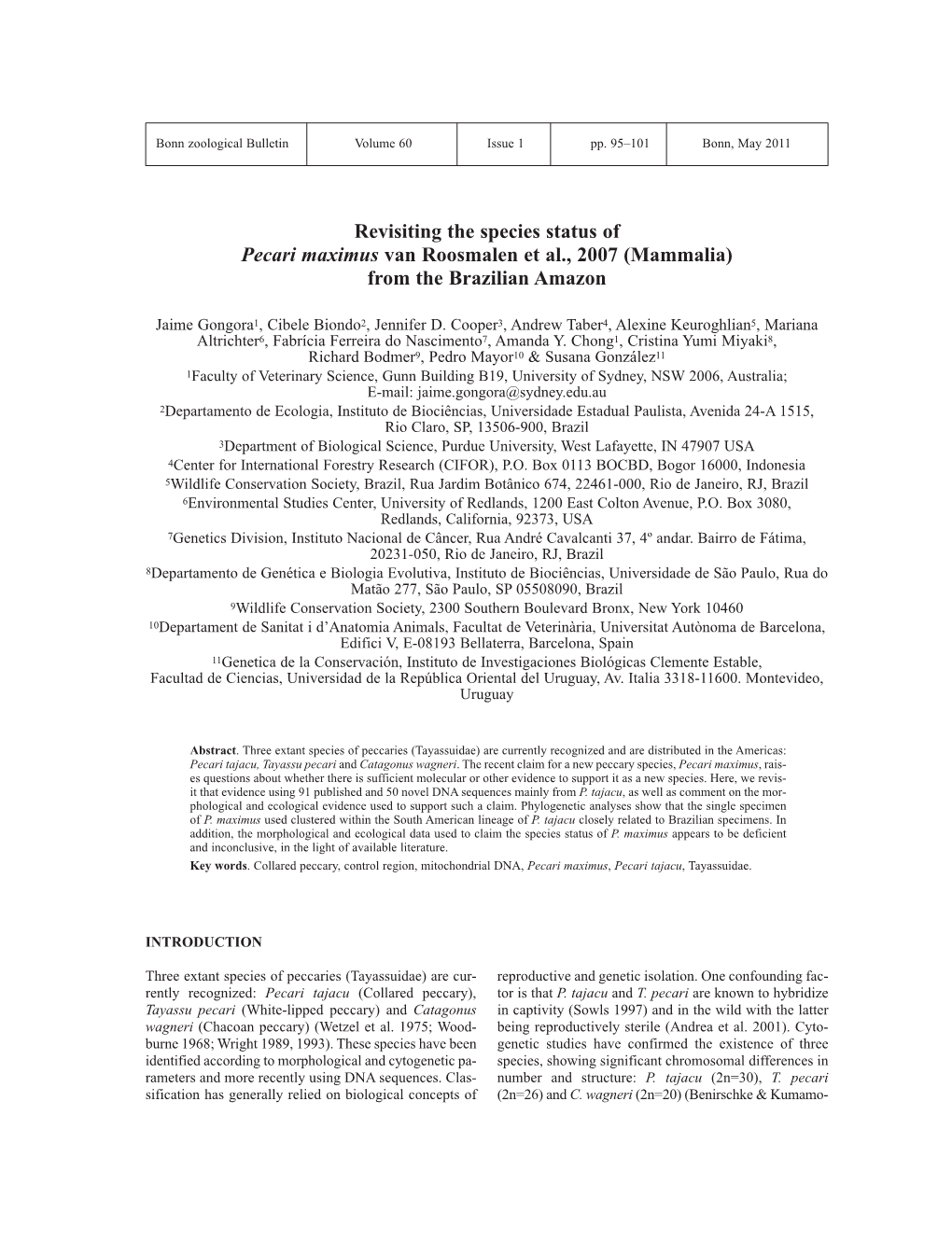 Revisiting the Species Status of Pecari Maximus Van Roosmalen Et Al., 2007 (Mammalia) from the Brazilian Amazon