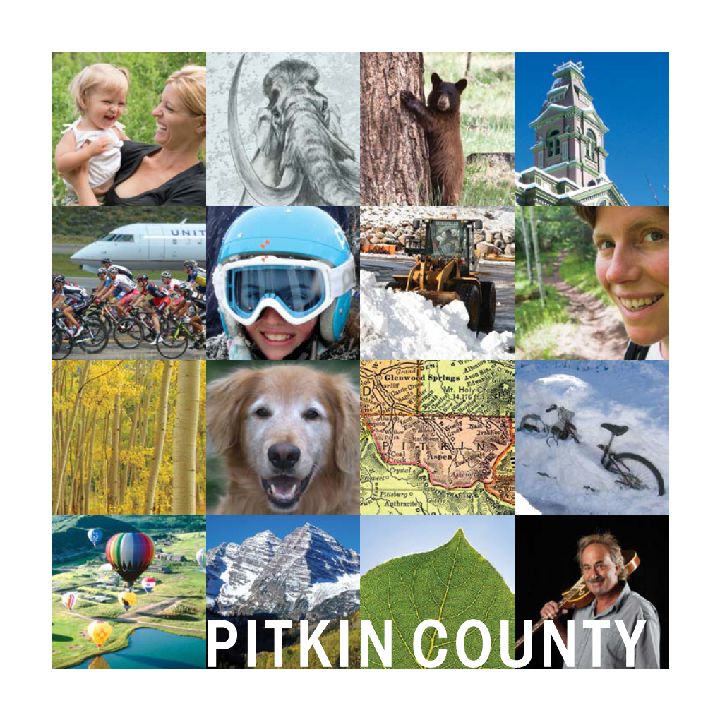 Pitkin County at a Glance