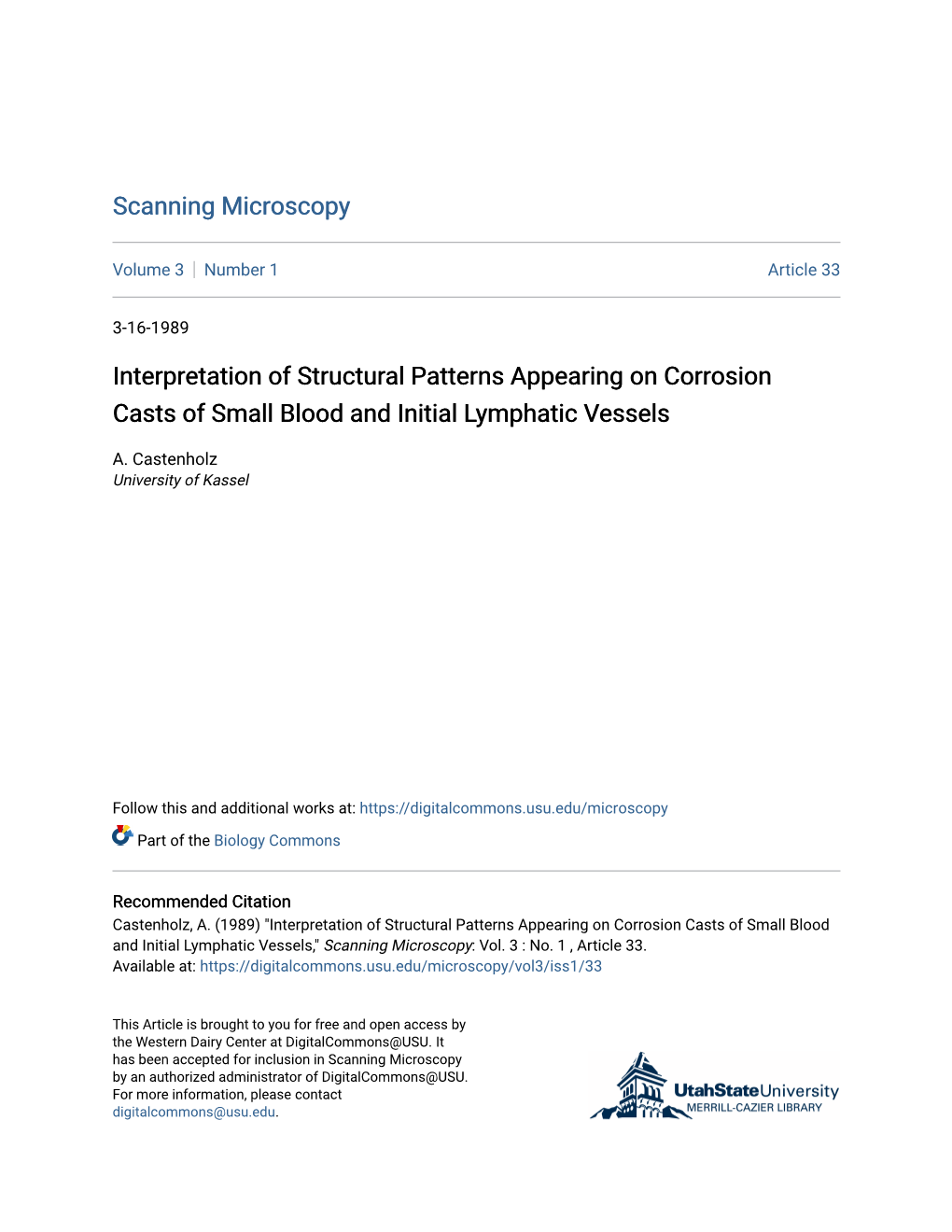 Interpretation of Structural Patterns Appearing on Corrosion Casts of Small Blood and Initial Lymphatic Vessels