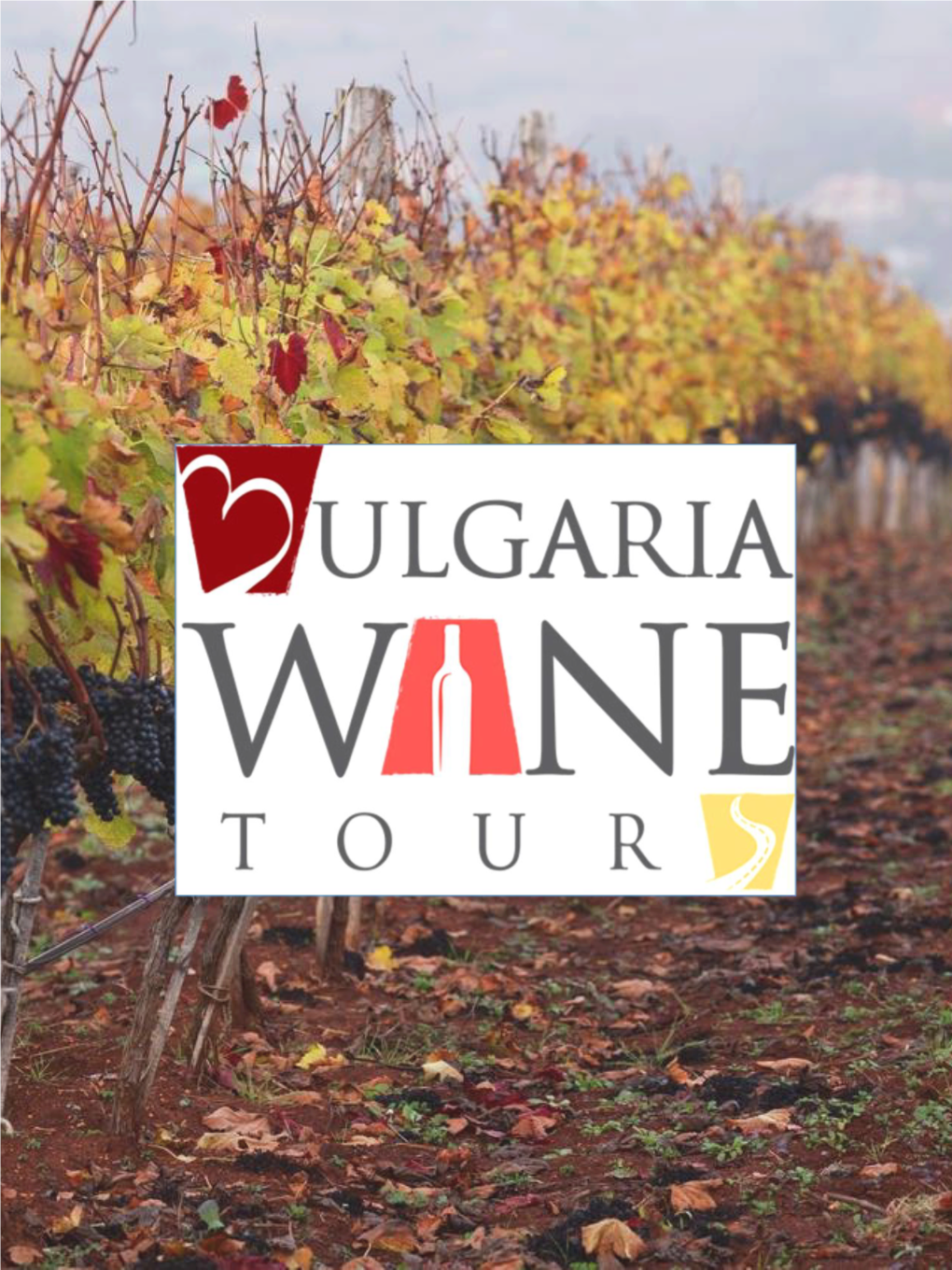 Bulgarian Wine Tours.Pdf