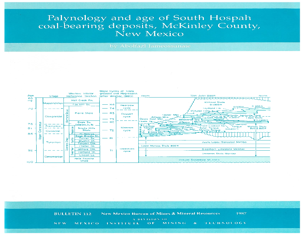 Palynology and Age of South Hospah Coal-Bearing Deposits, Mckinley County, New Mexico