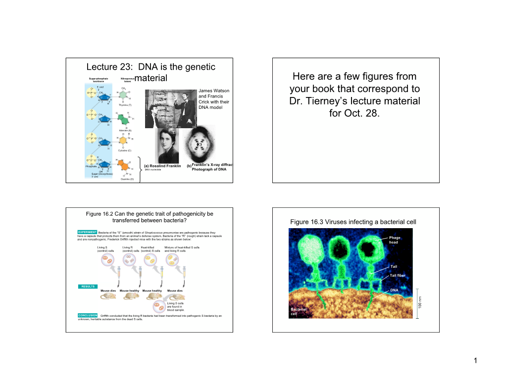 Here Are a Few Figures from Your Book That Correspond to Dr. Tierney's