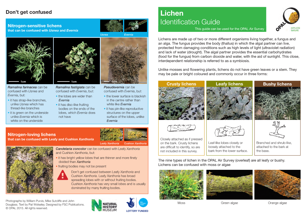 Lichen Identification Guide