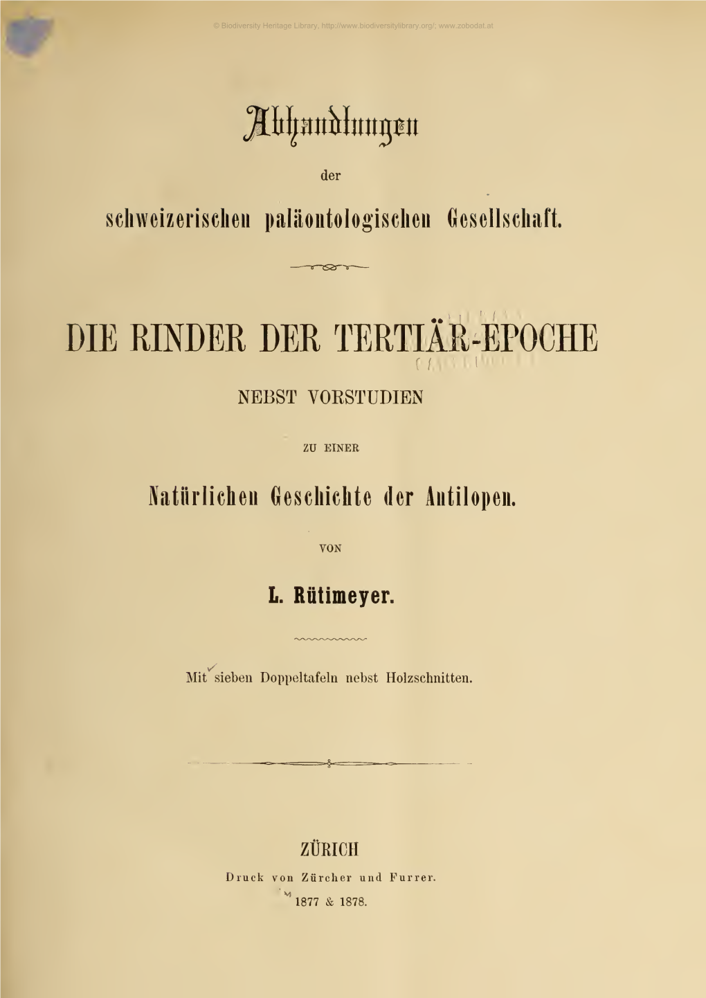 Die Rinder Der Tertiär-Epoche Nebst Vorstudien Zu Einer Natürlichen