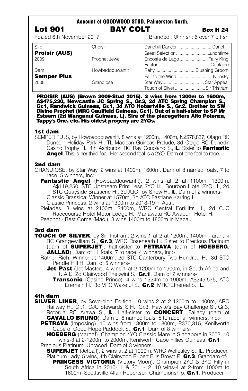 Lot 901 BAY COLT Box H 24 Foaled 6Th November 2017 Branded: Nrsh;6Over7offsh