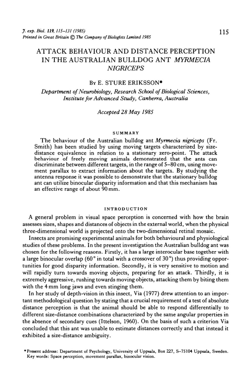 Attack Behaviour and Distance Perception in the Australian Bulldog Ant Myrmecia Nigriceps