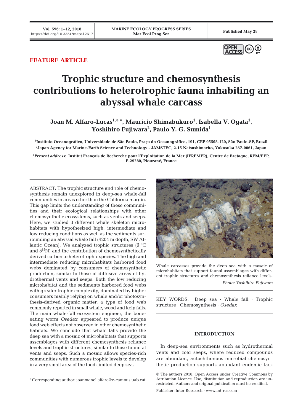 Trophic Structure and Chemosynthesis Contributions to Heterotrophic Fauna Inhabiting an Abyssal Whale Carcass