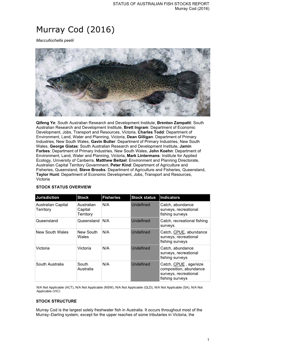 Murray Cod (2016)