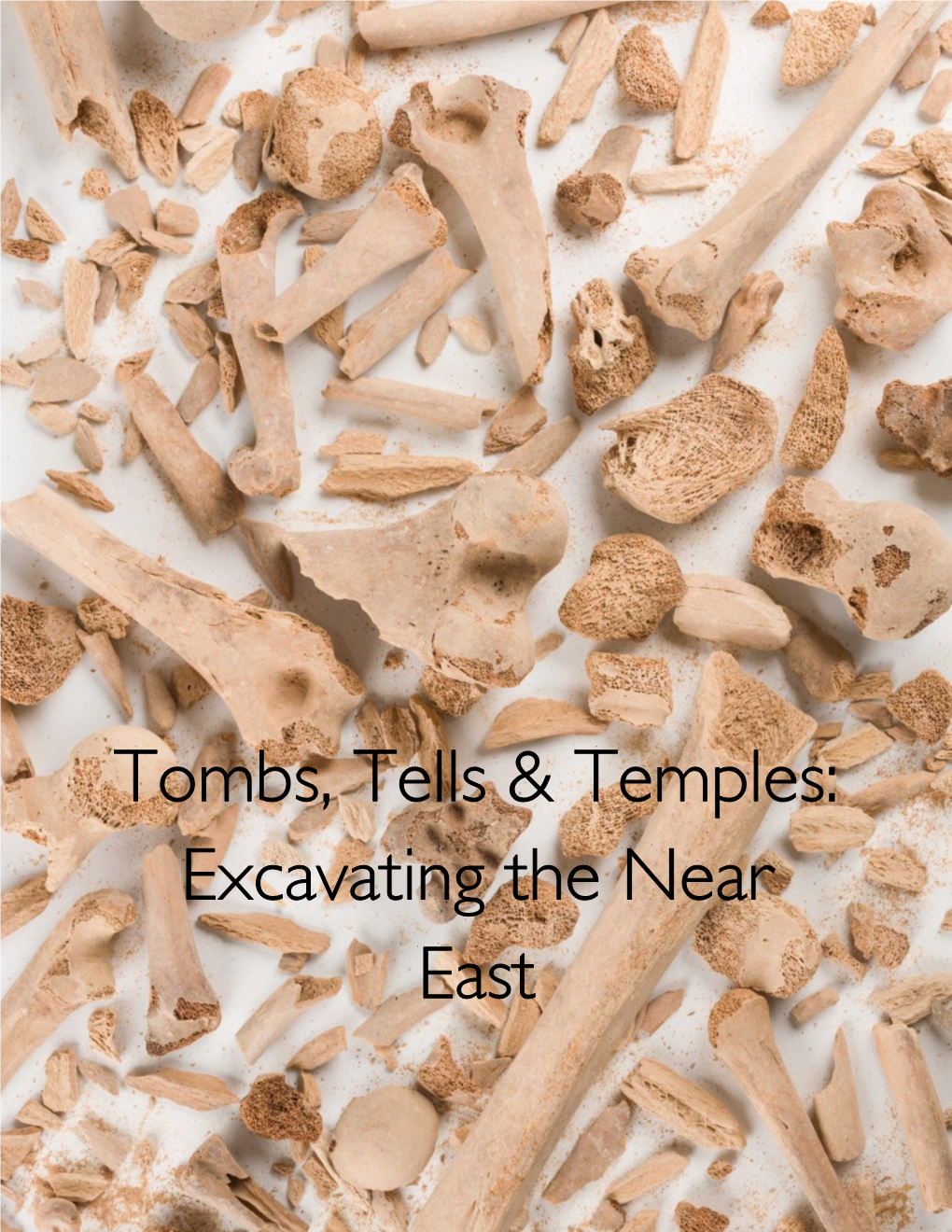 Tombs, Tells & Temples: Excavating the Near East