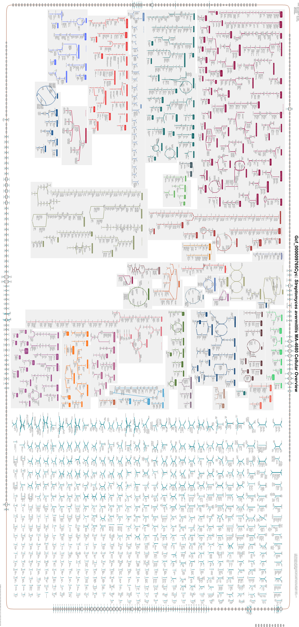 Generated by SRI International Pathway Tools Version 25.0, Authors S