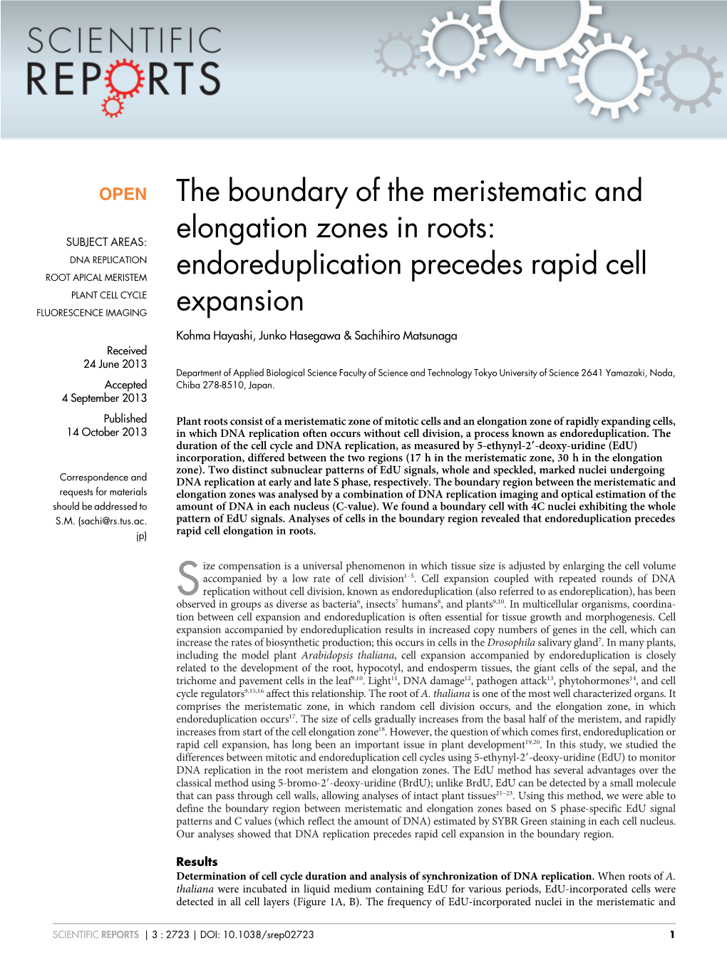 Endoreduplication Precedes Rapid Cell Expansion