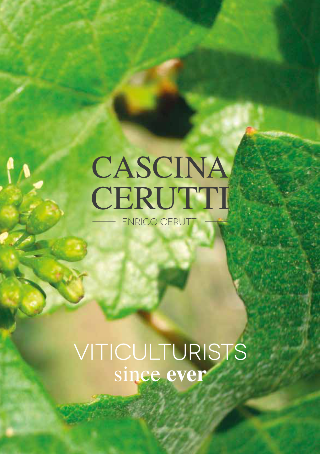 Cascina Cerutti Enrico Cerutti