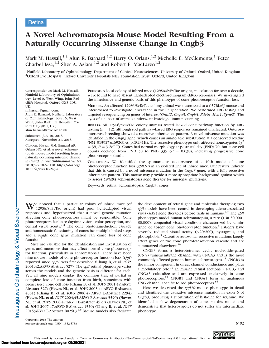 A Novel Achromatopsia Mouse Model Resulting from a Naturally Occurring Missense Change in Cngb3