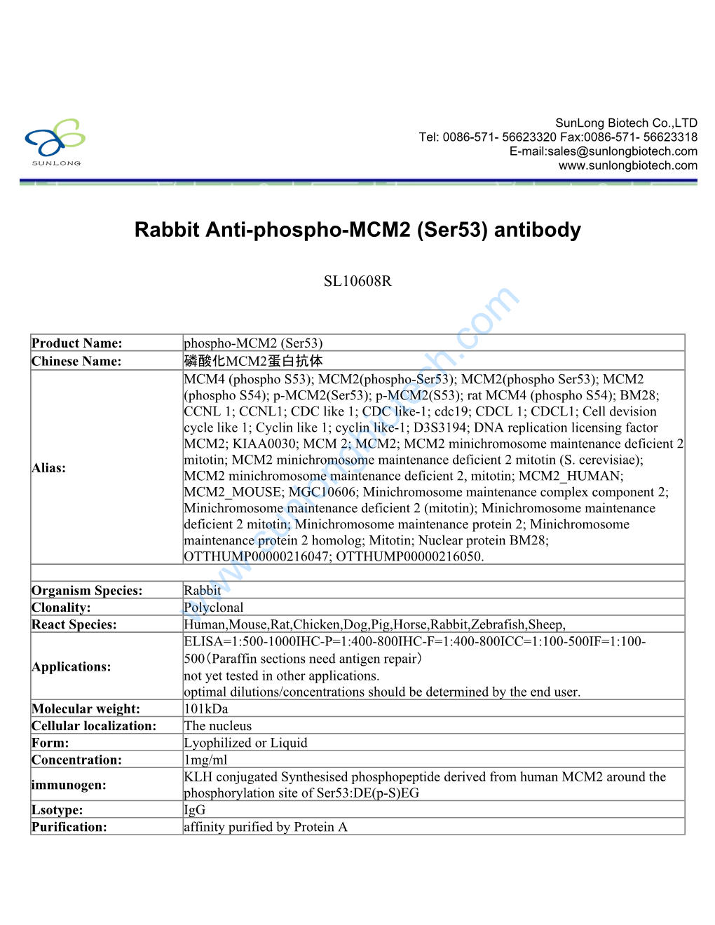 Rabbit Anti-Phospho-MCM2 (Ser53) Antibody