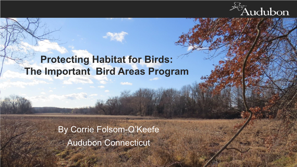 The Important Bird Areas Program