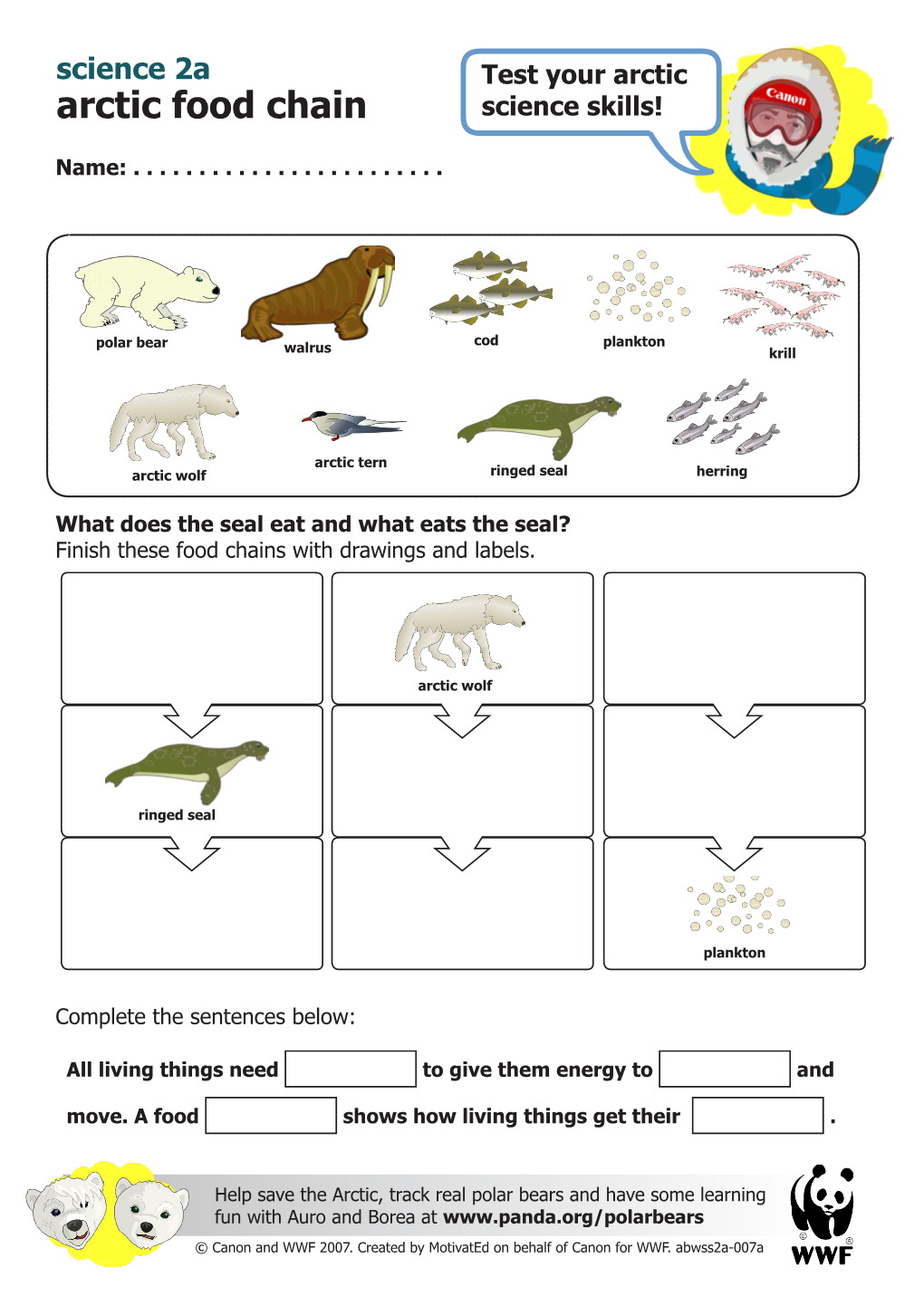 Arctic Food Chain Science Skills!