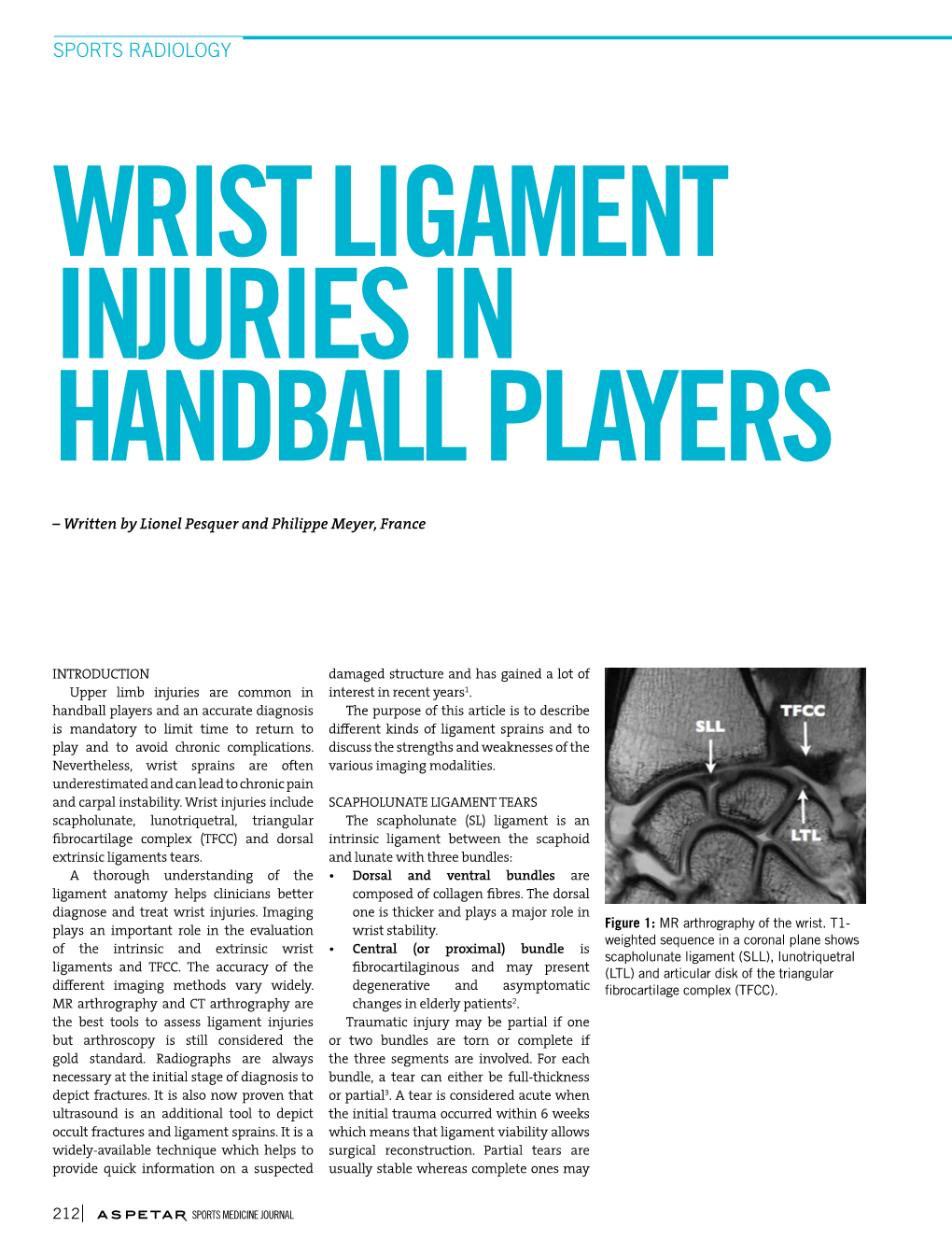 Wrist Ligament Injuries in Handball Players