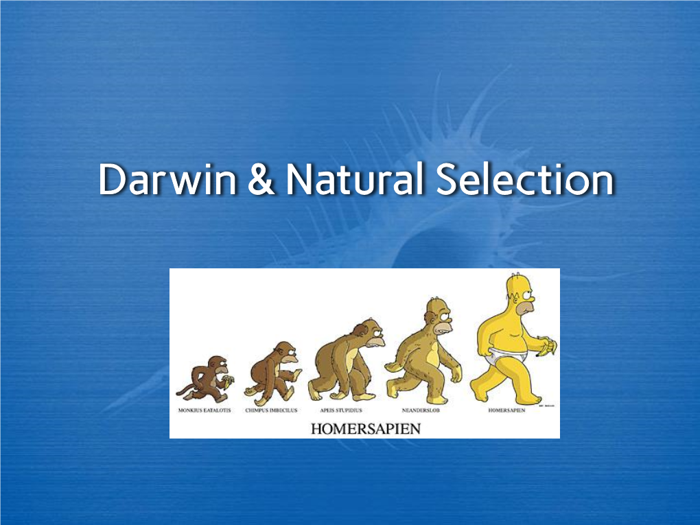 Darwin & Natural Selection