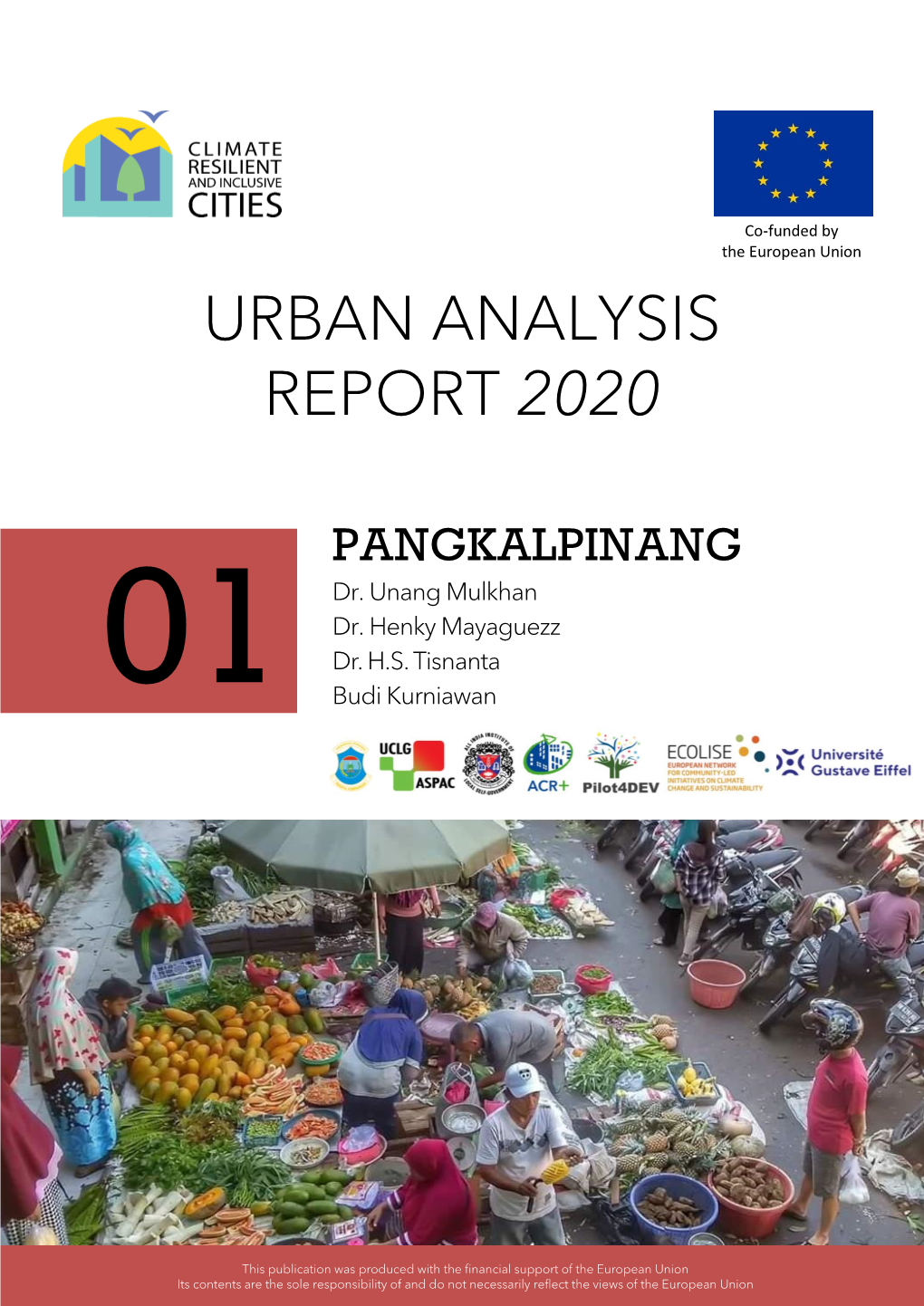 Urban Analysis Report 2020