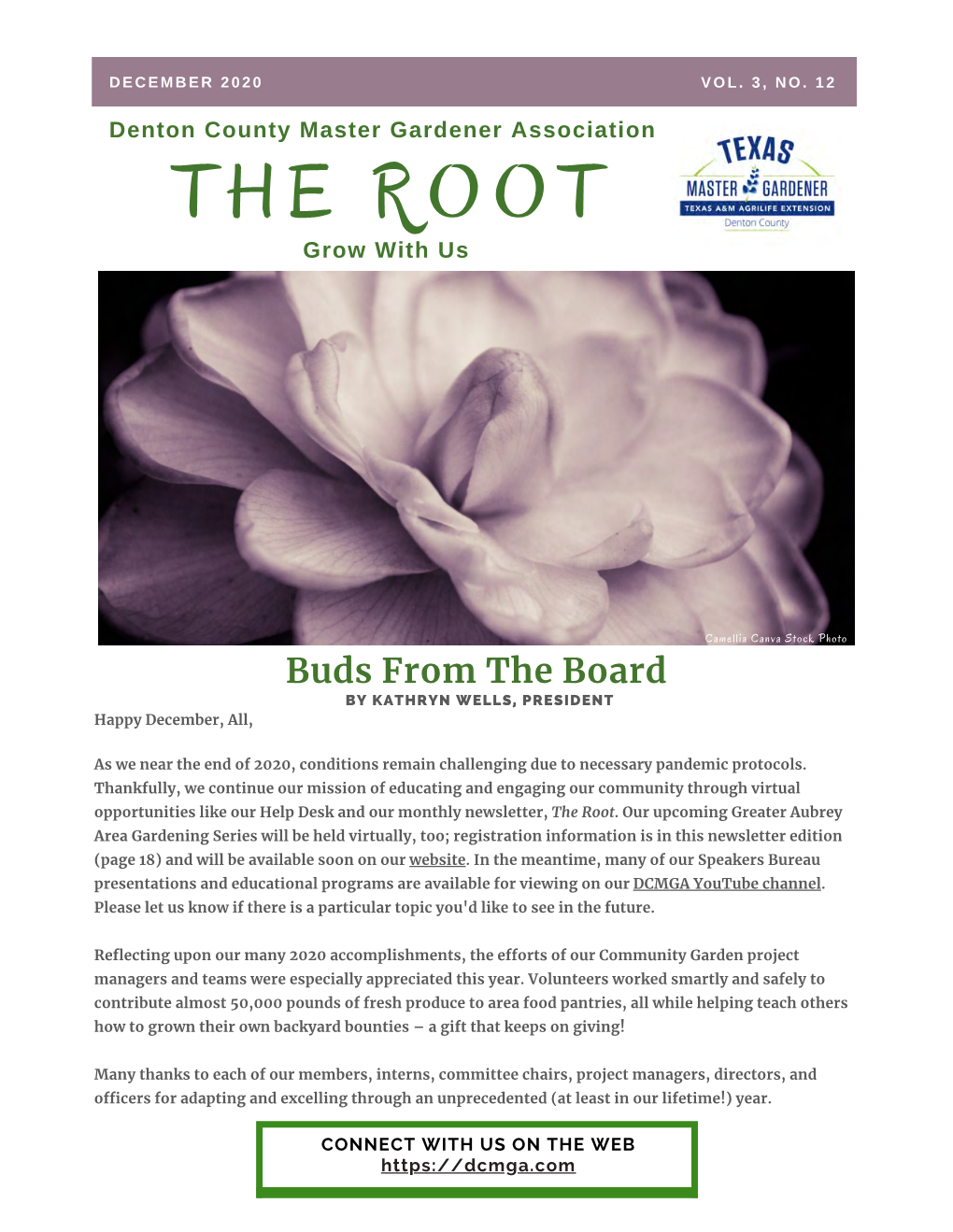 The Root December 2020 Newsletter