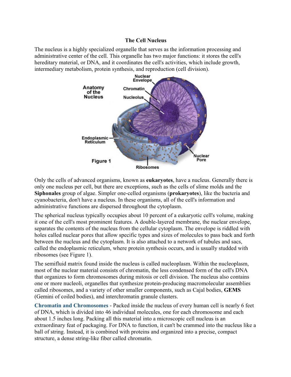 The Cell Nucleus