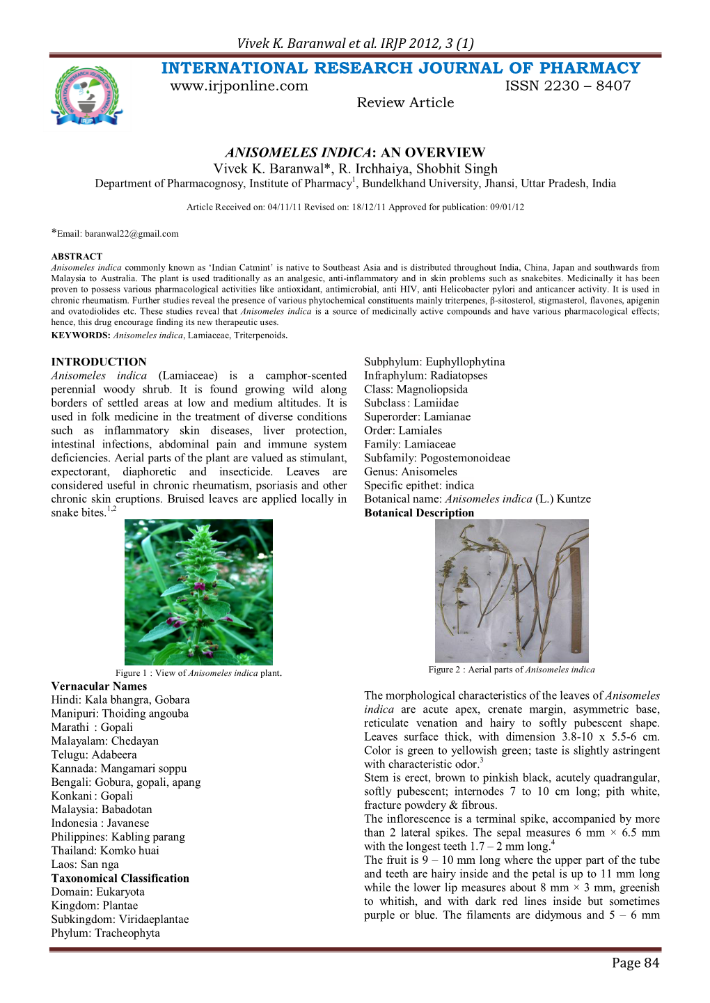 ANISOMELES INDICA: an OVERVIEW Vivek K