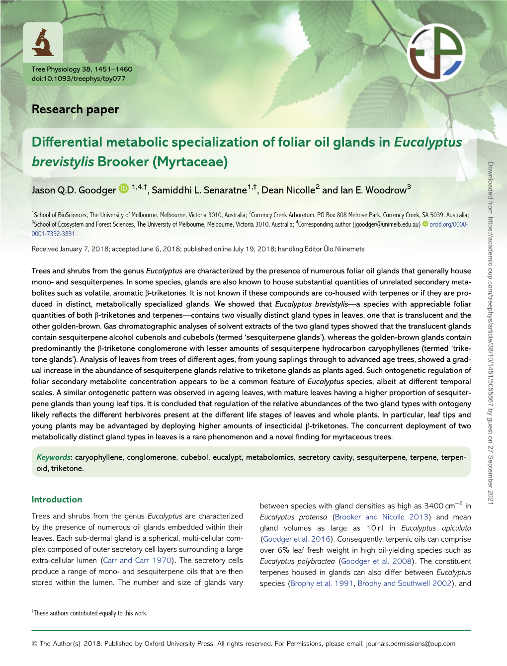 Differential Metabolic Specialization of Foliar Oil Glands in Eucalyptus