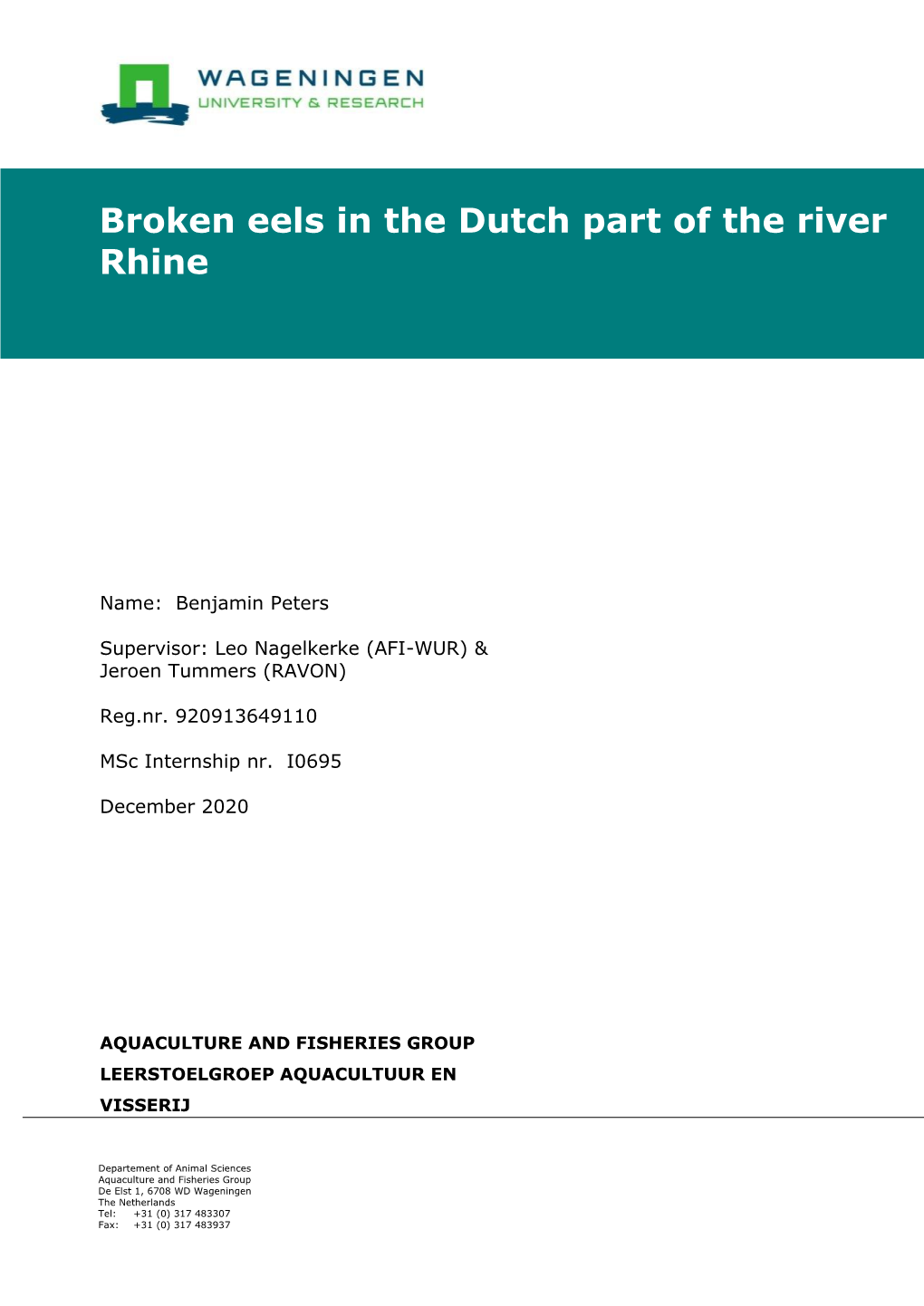 Broken Eels in the Dutch Part of the River Rhine RAVON Internship Report