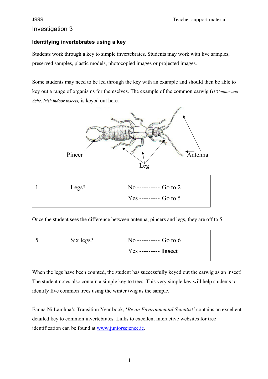 Identifying Invertebrates Using a Key