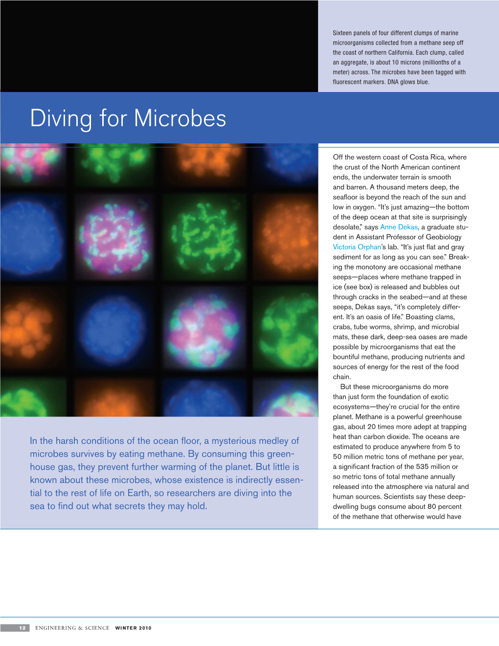 Diving for Microbes