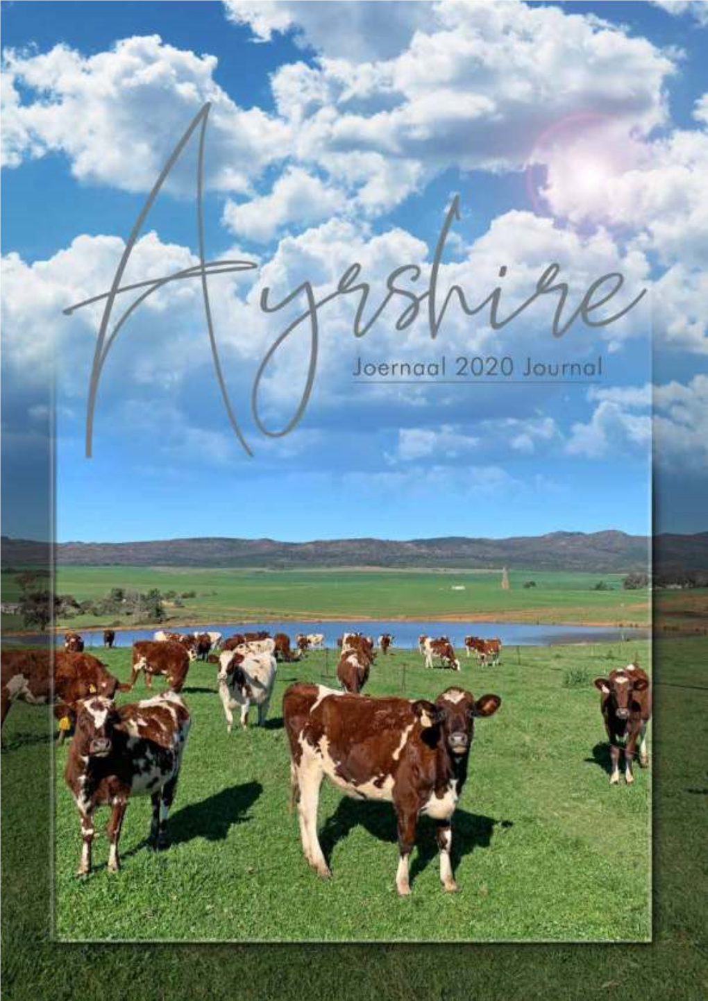 South Africa Ayrshire Journal