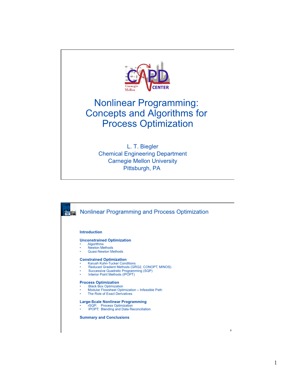 Nonlinear Programming: Concepts and Algorithms for Process Optimization