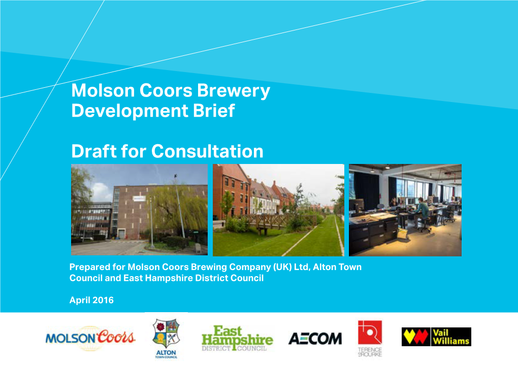 Molson Coors Brewery Development Brief Draft for Consultation