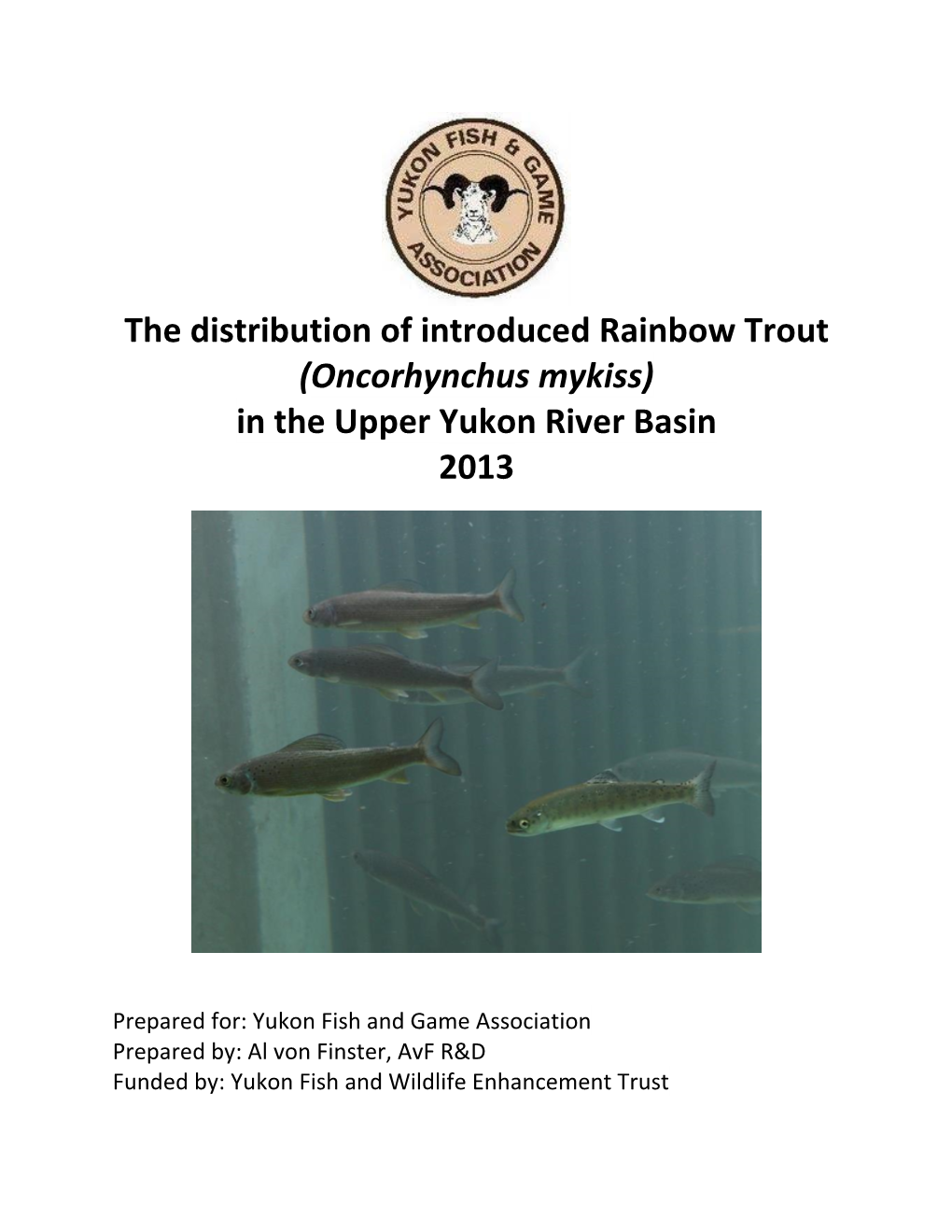 The Distribution of Introduced Rainbow Trout (Oncorhynchus Mykiss) in the Upper Yukon River Basin 2013