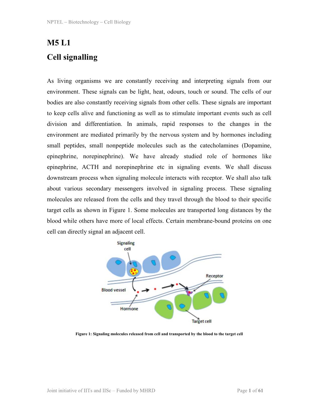 M5 L1 Cell Signalling