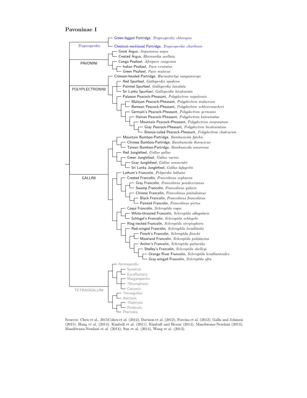 Pavoninae Species Tree