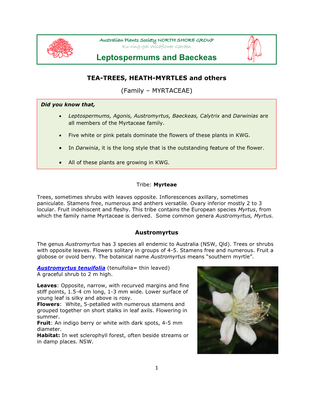 Leptospermums and Baeckeas 2021 Talk Notes