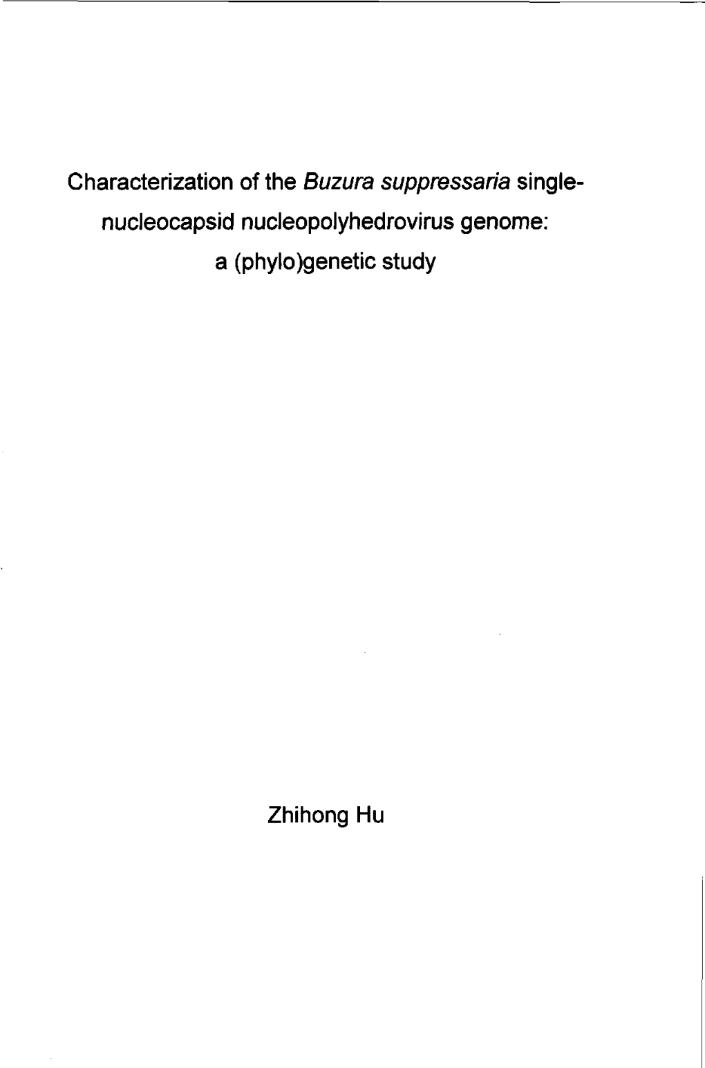 Nucleocapsid Nucleopolyhedrovirus Genome: a (Phylo)Genetic Study