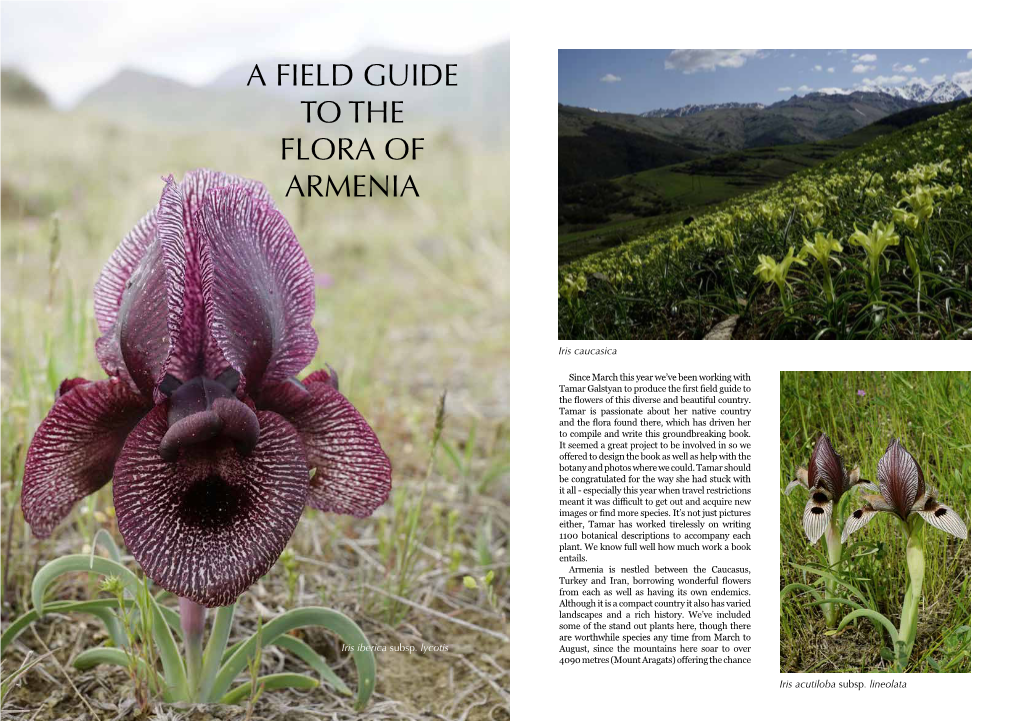 A Field Guide to the Flora of Armenia